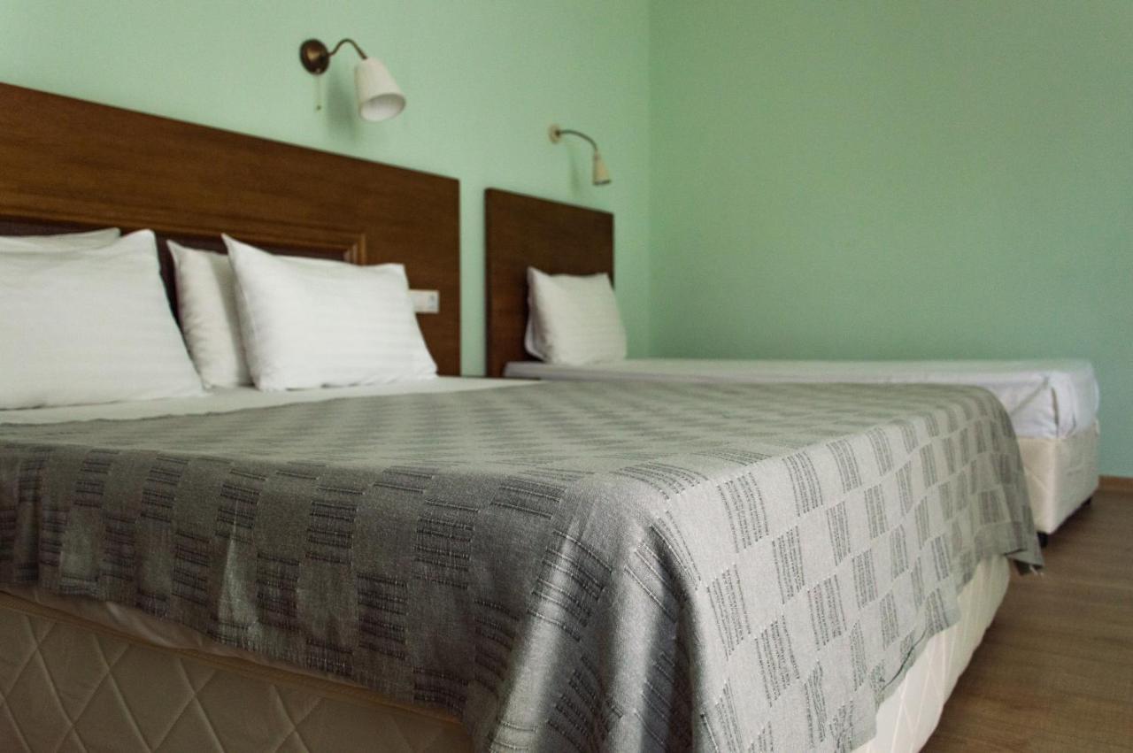Aleksion Palace Hotel Ognyanovo (Blagoevgrad)